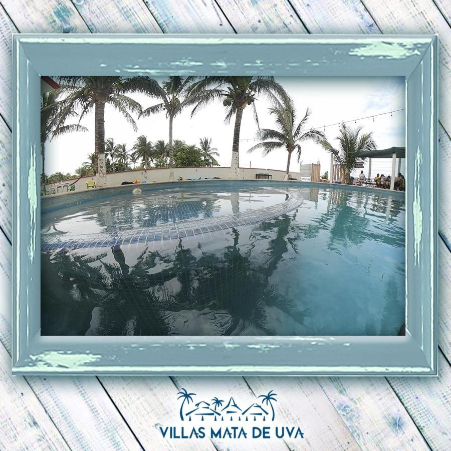 Villas Mata De Uva Heroica Heroica Alvarado Buitenkant foto