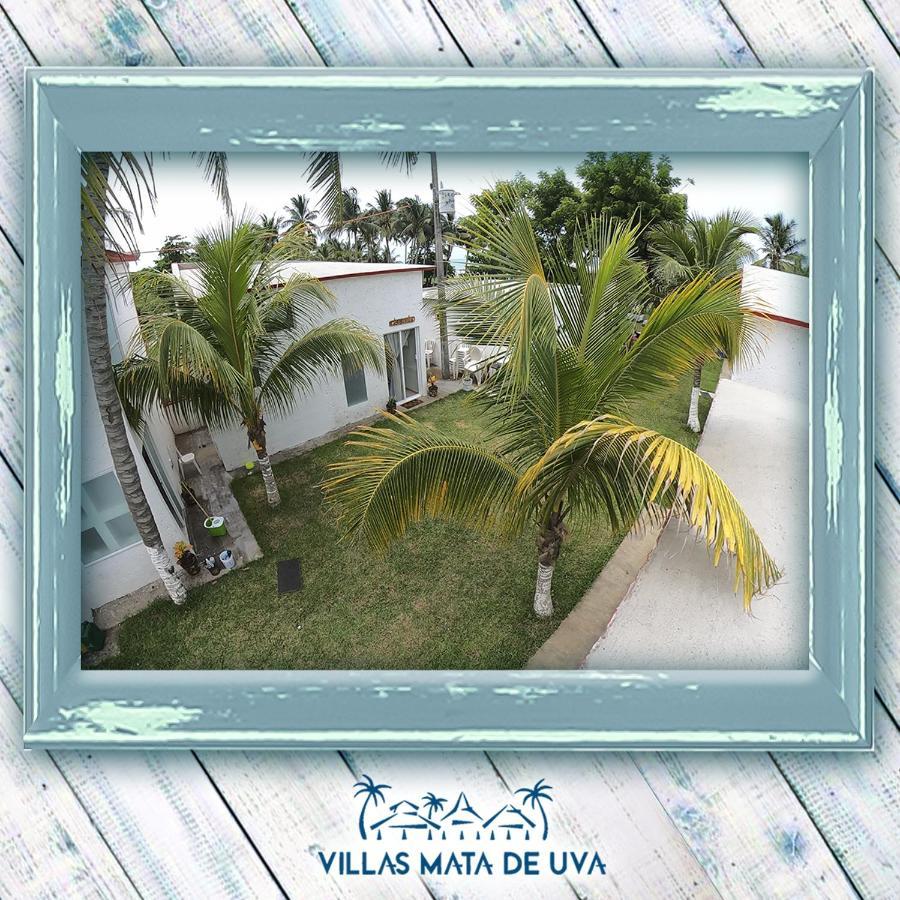 Villas Mata De Uva Heroica Heroica Alvarado Buitenkant foto